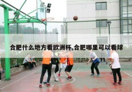 合肥什么地方看欧洲杯,合肥哪里可以看球