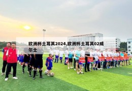 欧洲杯土耳其2024,欧洲杯土耳其02威尔士