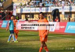 欧洲杯2024大牌球员,欧洲杯24强名单出炉望98db in