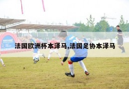 法国欧洲杯本泽马,法国足协本泽马