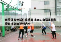 雨燕体育无插件高清直播857,山猫足球免费直播高清视频大全