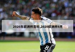 2026年欧洲杯百科,2020欧洲杯6月