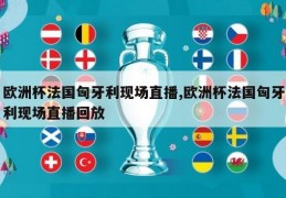 欧洲杯法国匈牙利现场直播,欧洲杯法国匈牙利现场直播回放