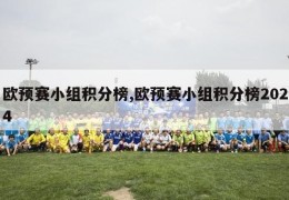 欧预赛小组积分榜,欧预赛小组积分榜2024